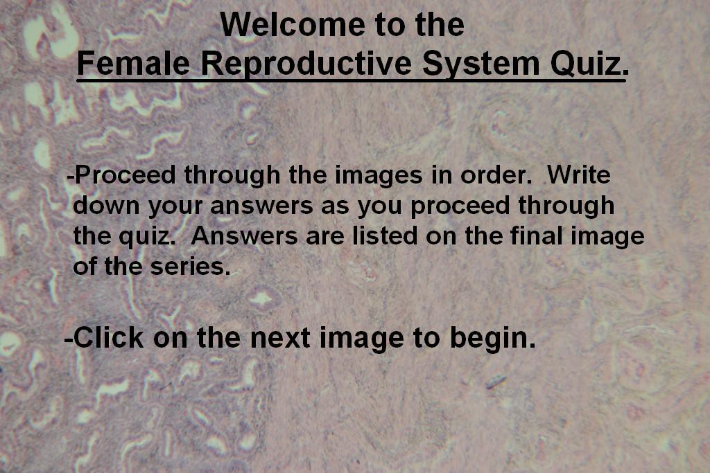 Image A - Female Quiz