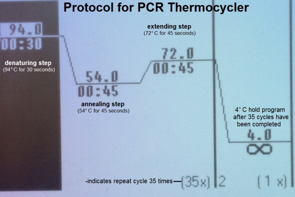 A- PCR Protocol